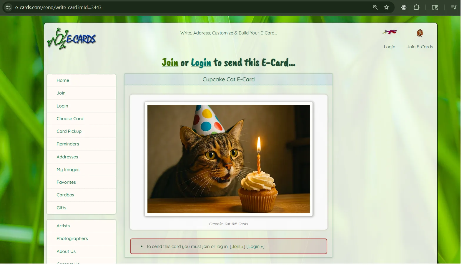 An ecard site showing a birthday cat card chosen from its library